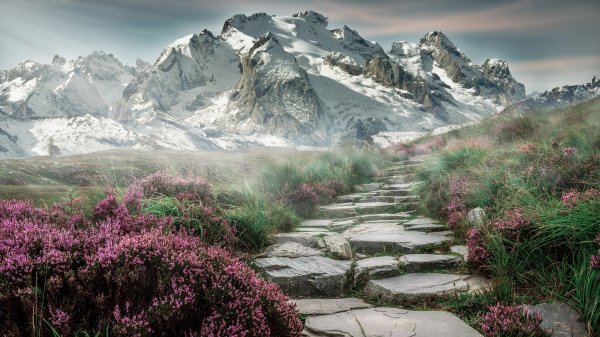Mountain backdrop with cobbled path leading up to it with bushes on either side
